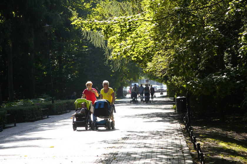 Park Oliwski w Gdańsku