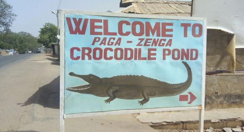 Paga crocodile pond 