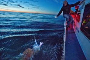 Sebastian Karaś chce przepłynąć Bałtyk wpław