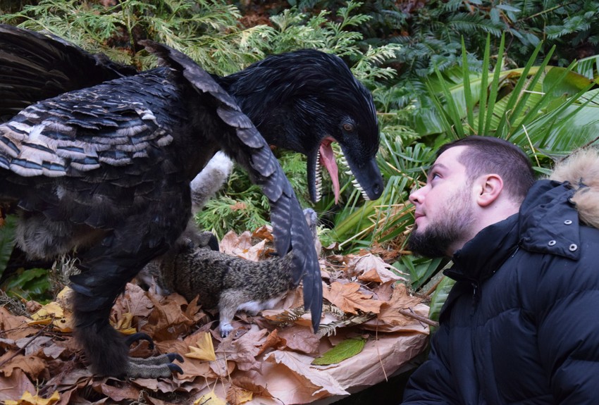 Boban Filipović jedini Srbin koji paleoartom spaja nauku i umetnost