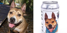 Jej pies zniknął 3 lata temu. Jego los odmieniła... puszka z piwem!