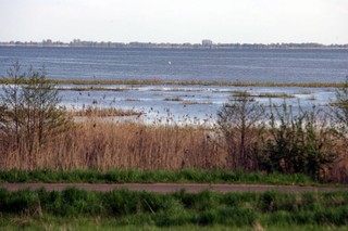 Wykonawca przekopu Mierzei jest już na placu budowy