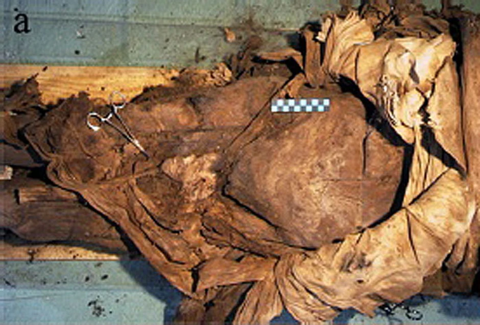 Naučnici su rešili misteriju pomoću temeljne analize