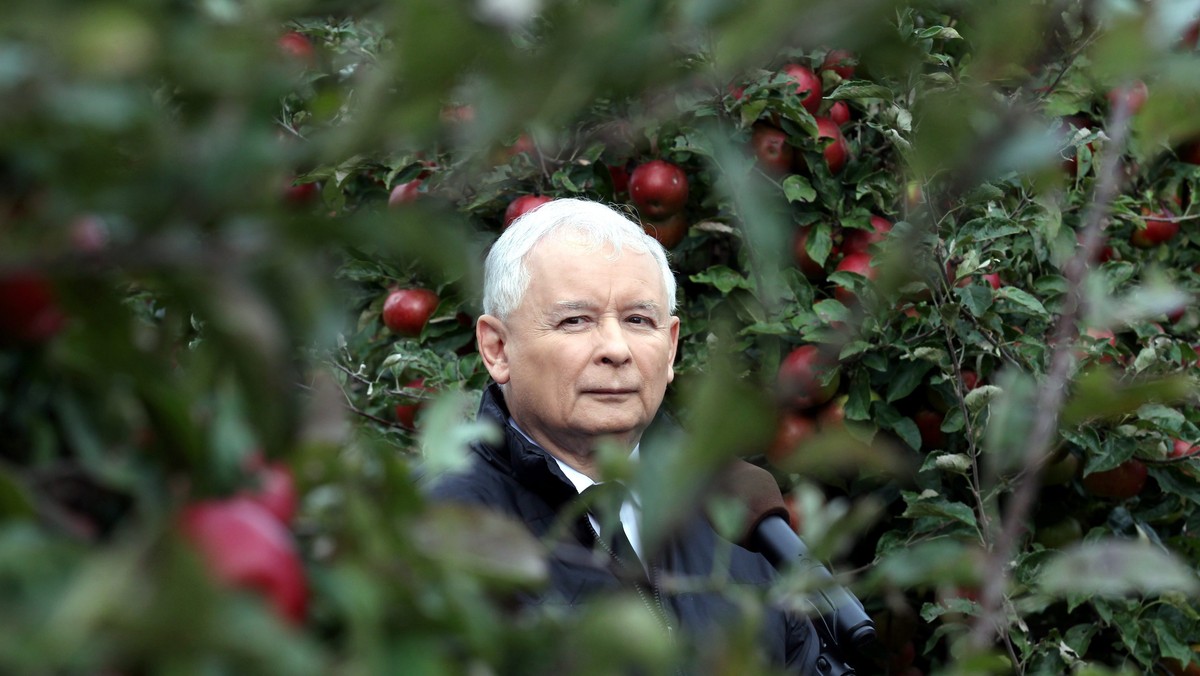 Jarosław Kaczyński