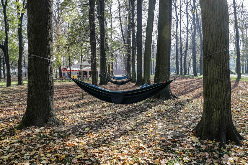 Park Zdrojowy przy rondzie Matecznego w Krakowie