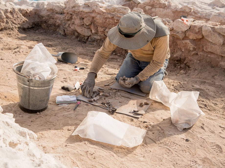 Archeolog prowadzi wykopaliska w poszukiwaniu nasion vilca na stanowisku Quilcapampa w Peru.