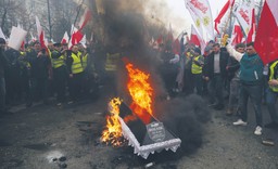 Protesty rolników nie idą na marne. Bruksela szykuje ustępstwa
