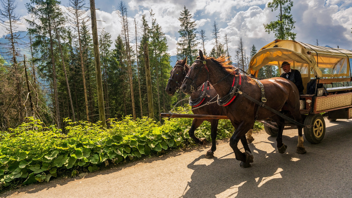 Tatry. Rewolucja nad Morskim Okiem? Turyści pojadą hybrydowym wozem