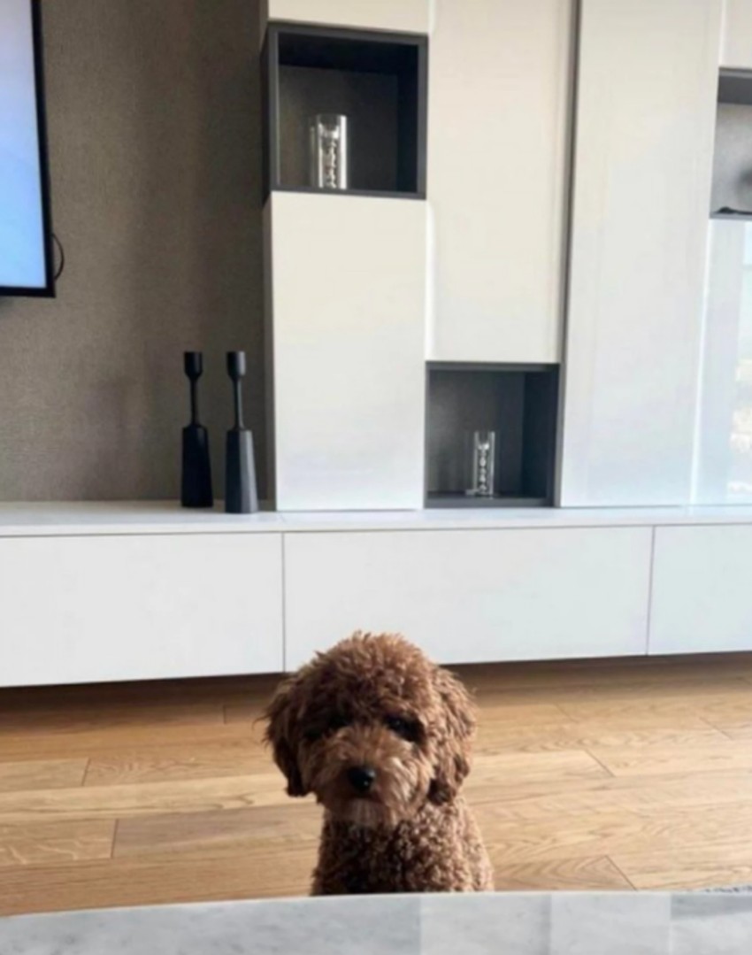 Dom Đokovića u Beogradu