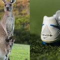 Piłkarze nie będą już kopać "kangurami". Nike i Puma wycofują się z używania skóry tych zwierząt