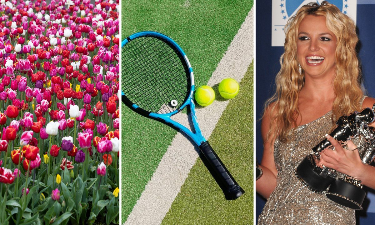 Bardzo trudny quiz z wiedzy ogólnej. Zdobycie 20/20 jest niewykonalne