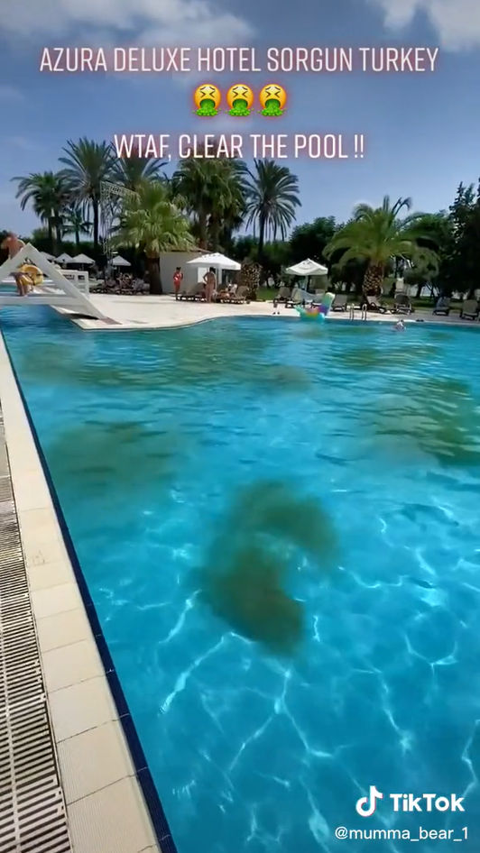 Na fotografiách bolo vidno zelený zákal vznášajúci sa vo vode bazéna v luxusnom hoteli.