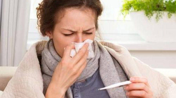 Küszöbön az influenza! Hamarosan Magyarországra is elér