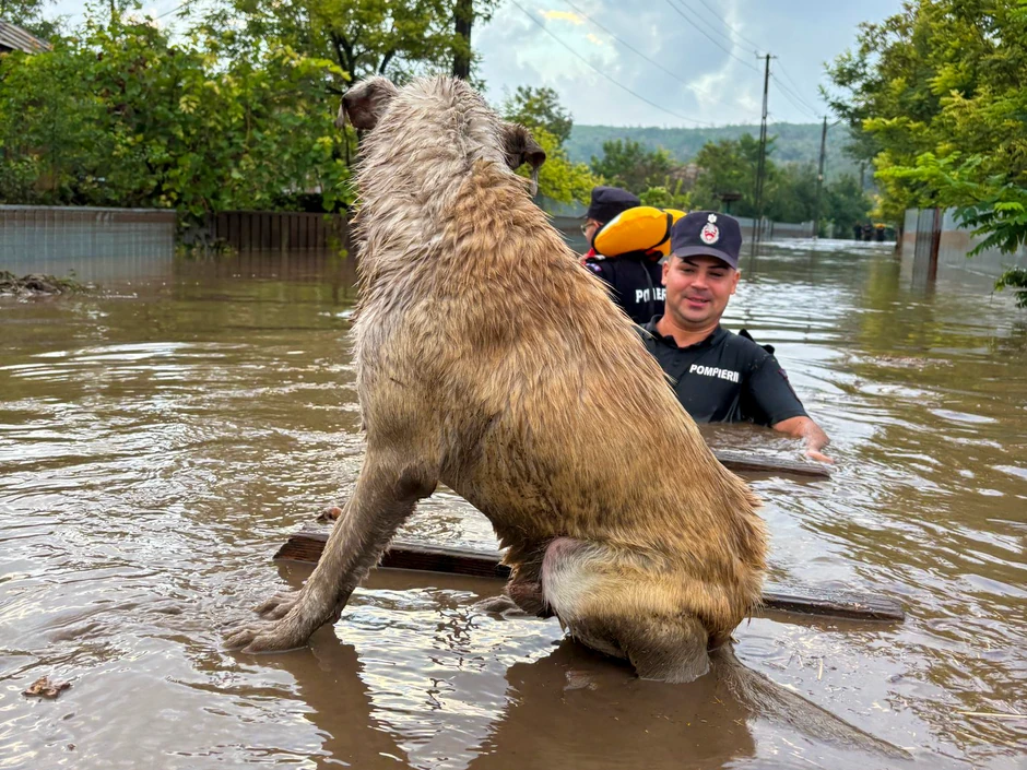 Poplave u Pekei, Rumunija, 14. septembra