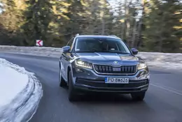 Skoda Kodiaq 1.4 TSI 4x4 - czy to jest szczyt możliwości Skody?