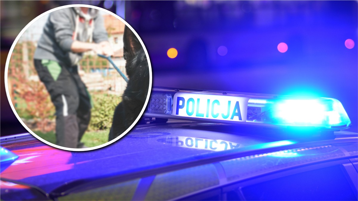 Nocna interwencja w Zgierzu. Padł strzał do psa
