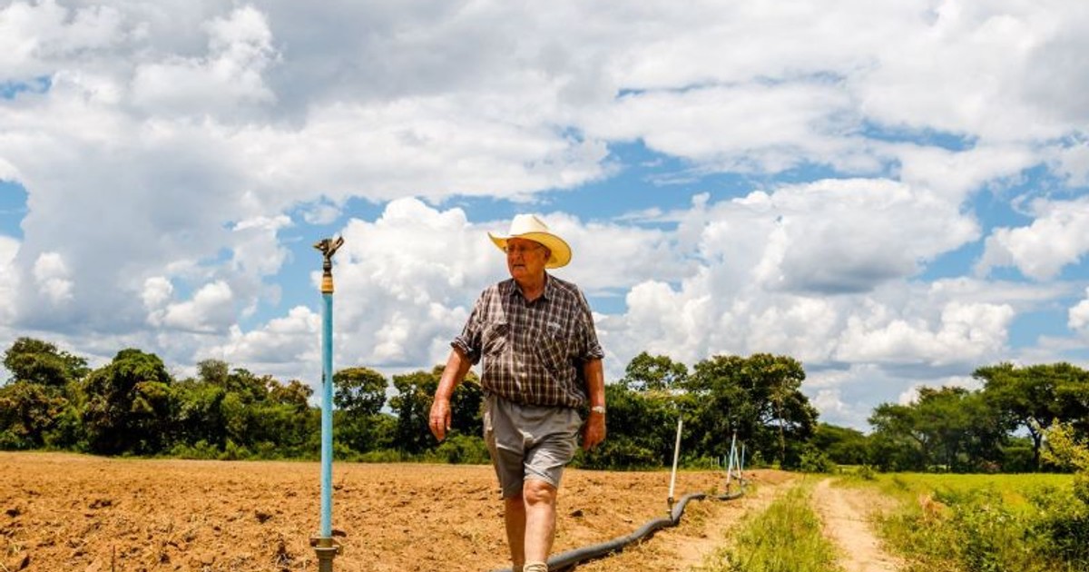 Zimbabwe now moves to return back land taken over by Mugabe to white