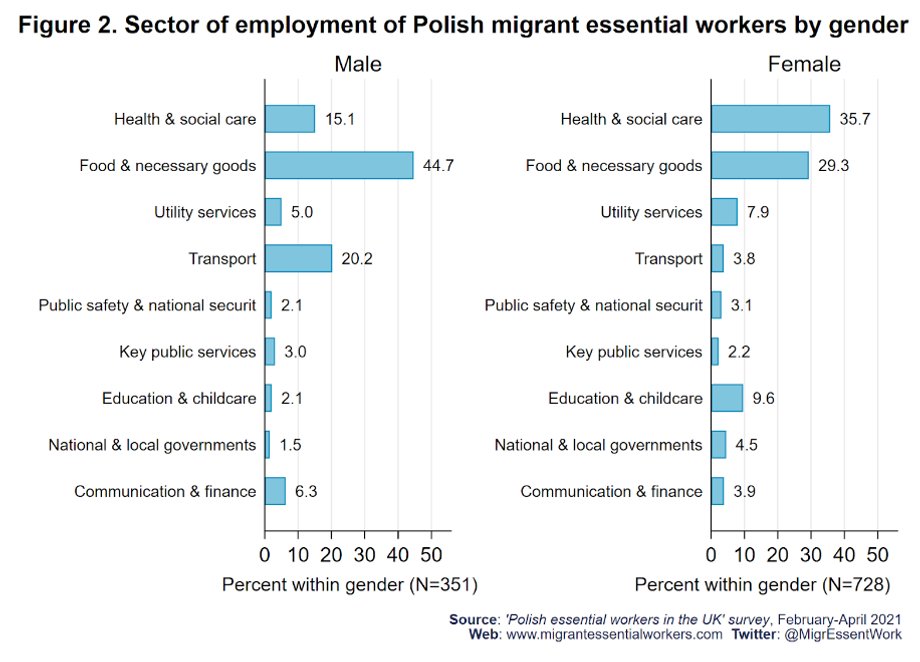 Sektory, w których pracują polscy imigranci do Wielkiej Brytanii w zależności od płci.