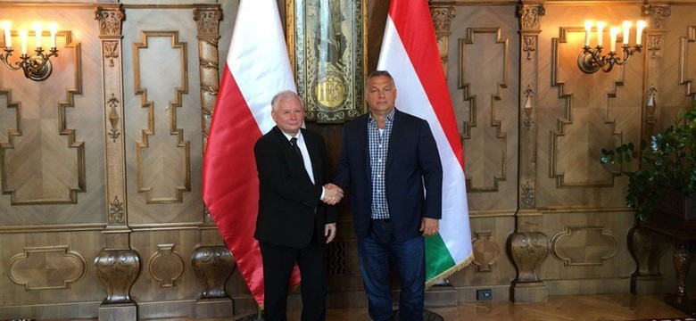 Kaczyński przyjęty przez Orbana. Brudziński zrobił im mnóstwo ZDJĘĆ