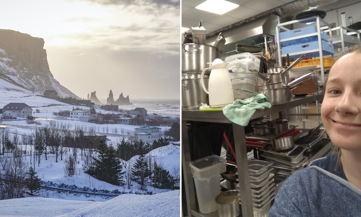 Polka o świętach na Islandii: tu jada się sfermentowaną płaszczkę