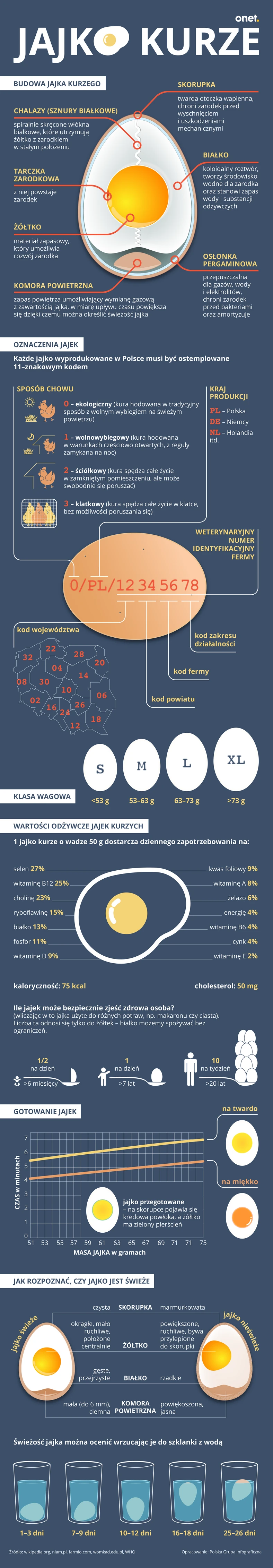 Jajko [INFOGRAFIKA]