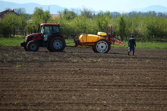 "Poljoprivrednici koji imaju 10 krava neće morati da pravdaju troškove"! Glamočić: Subvencije samo za one koji obrađuju zemlju