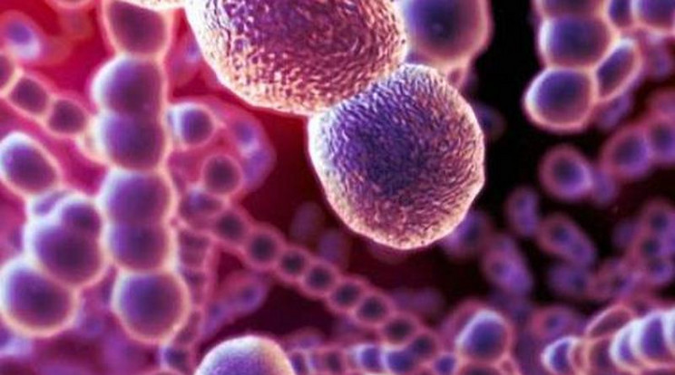 Bubópestissel fertőzött beteget kezelnek a Kína északi részén 