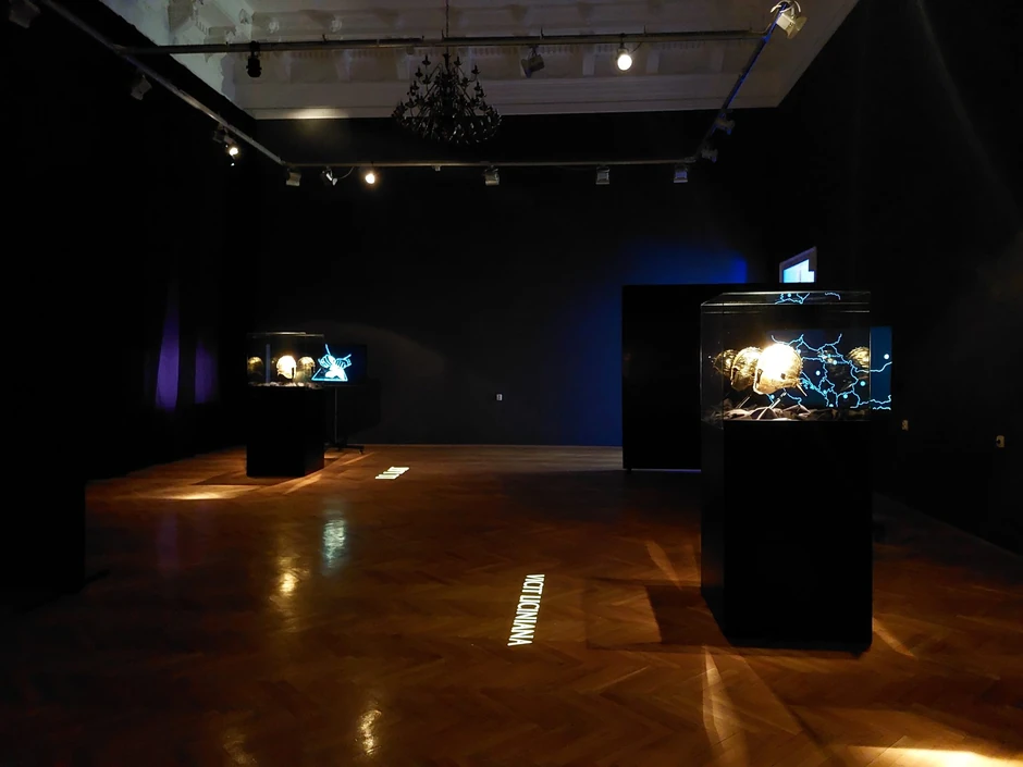 Rimski šlemovi u Muzeju Vojvodine