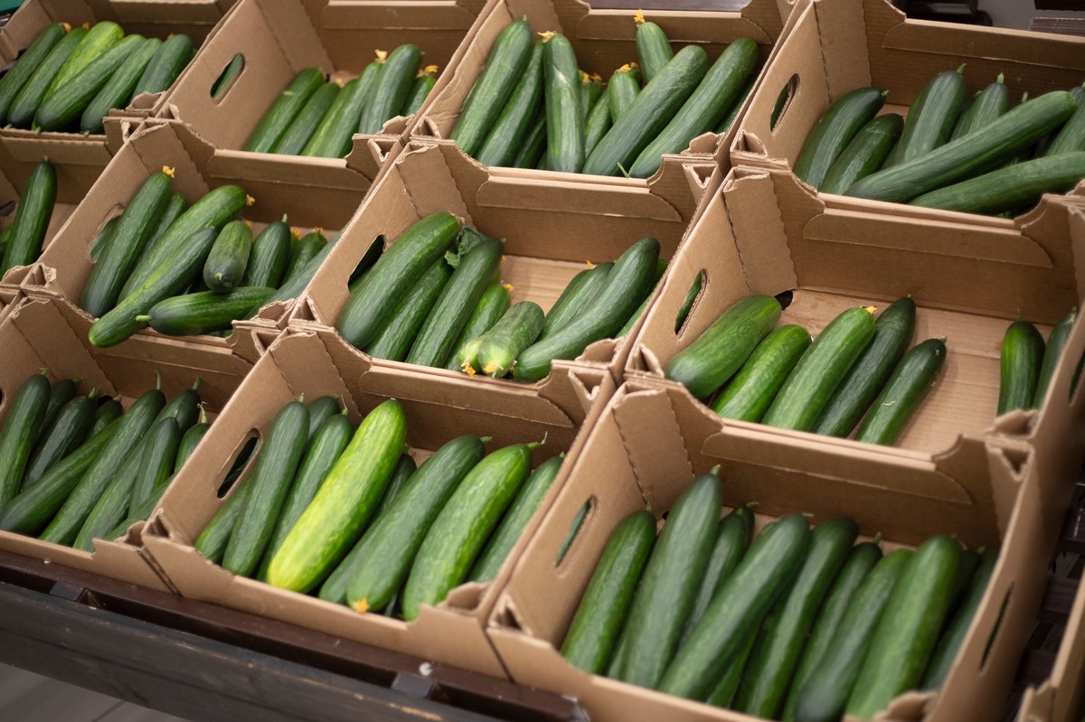 ogórki sklep warzywa ogórek