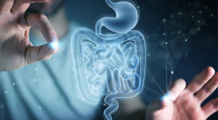 Kell probiotikum? Fotó: Shutterstock