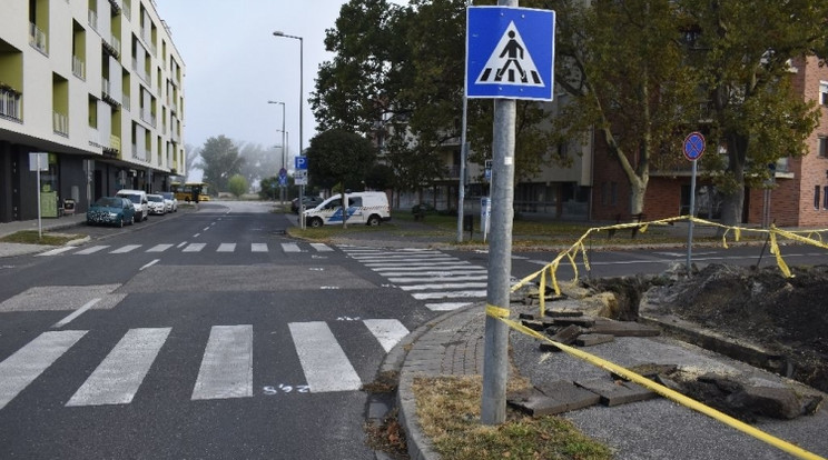 Elütöttek egy idős nőt Győrben /Fotó: police.hu