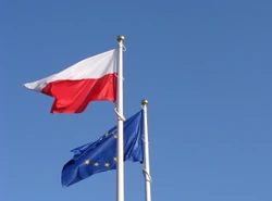 Został Polakiem, bo chce kupić portugalskie linie lotnicze
