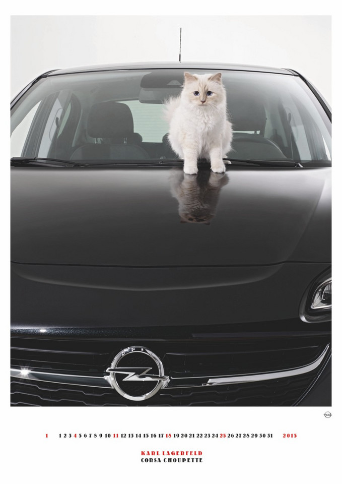 Opel Corsa - koci kalendarz