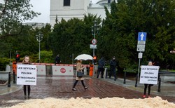 Aktywiści Greenpeace rozsypali trociny przed Sejmem. To protest przeciw ustawie o wycince drzew [FOTO]