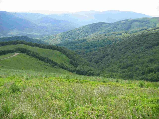 Galeria Polska - Bieszczady, obrazek 10