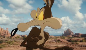 Film o Peri Kojoti i Ptici Trkačici