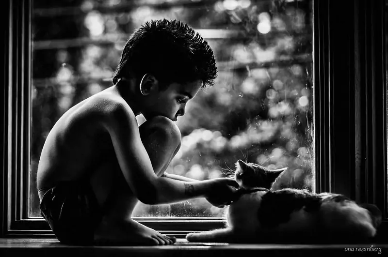boy-and-his-pets-12__880000