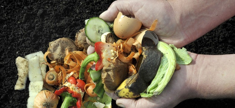 Jeżeli nie uporamy się przerabianiem frakcji bio, czeka nas kolejna fala podwyżek za śmieci