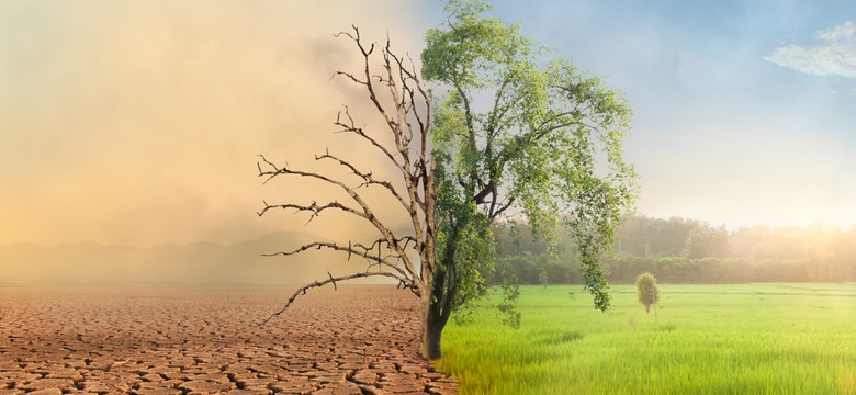 Roślinne kiełbaski w lodówce i klimatyzacja w każdym domu. Za 16 lat świat będzie całkowicie nie do poznania