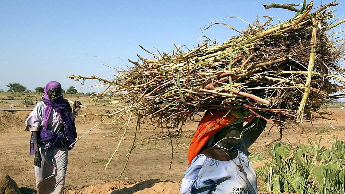 Afryka, Sudan