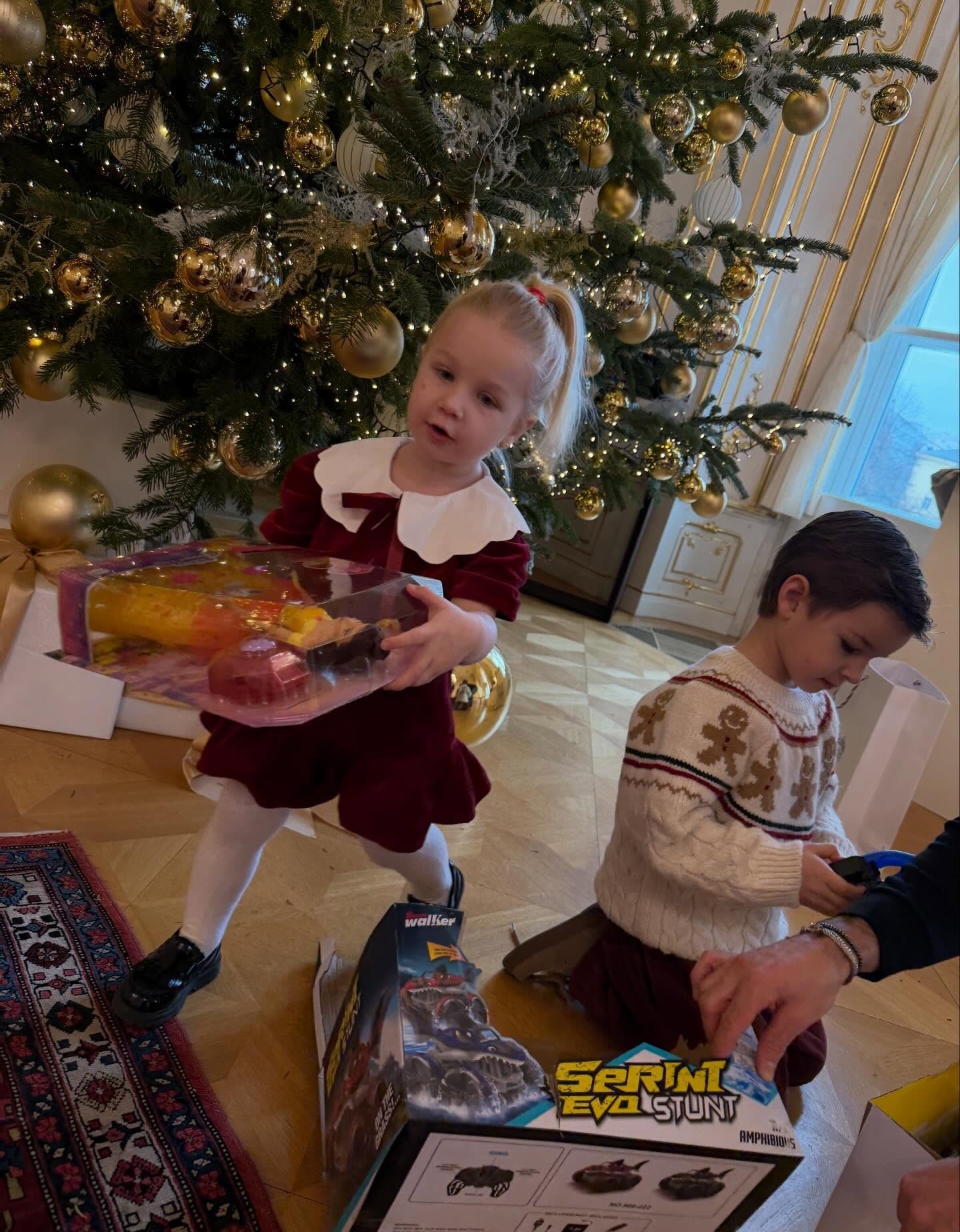 Deti Dominiky Cibulkovej dostali od prezidenta Petra Pellegriniho hračky. 