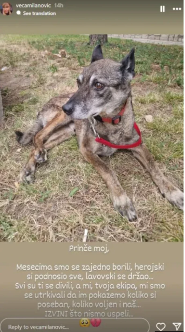 Objava Vesne Milanović