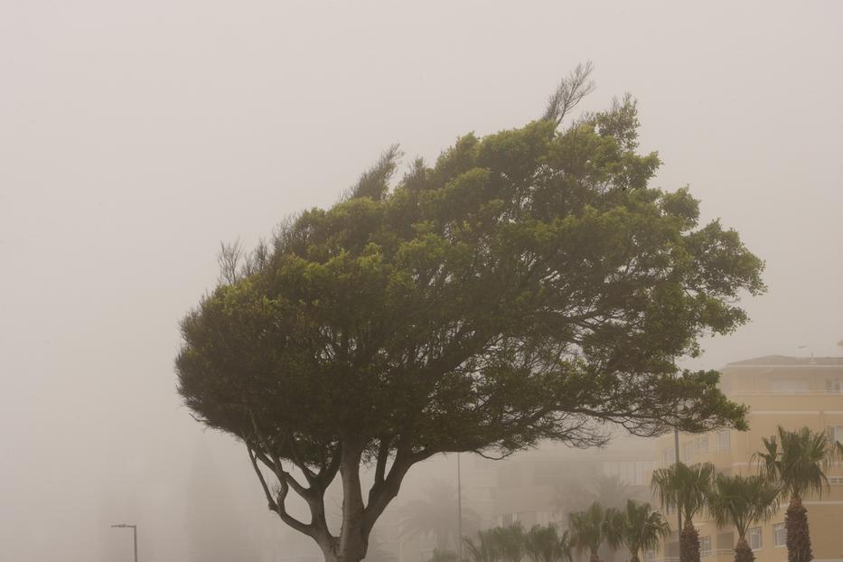 Időjárás: Kiadták a figyelmeztetést, nagy erejű szél és ónos eső közeleg Fotó: Getty Images