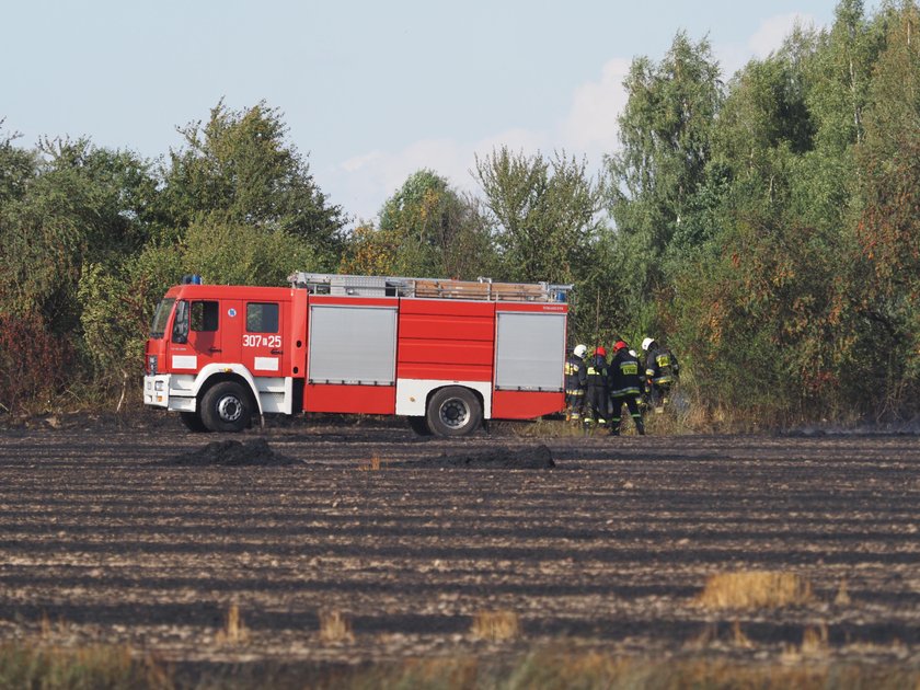 Podpalacz grasuje w Łodzi? Pożar pola na Górnej