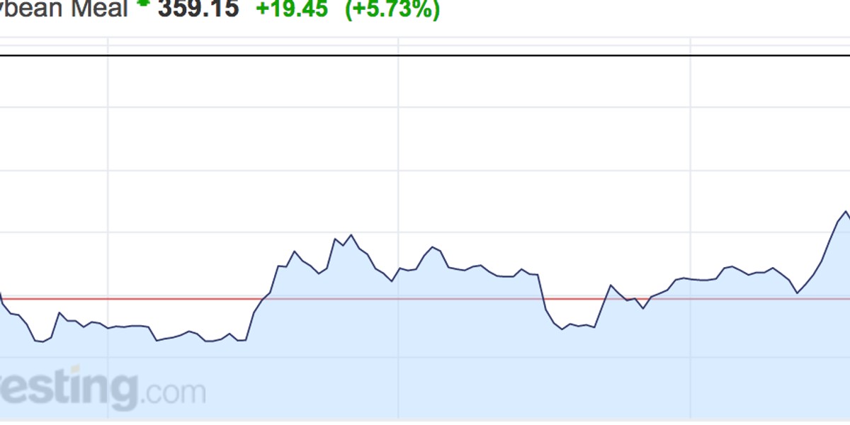 Grains exploded after the latest USDA report