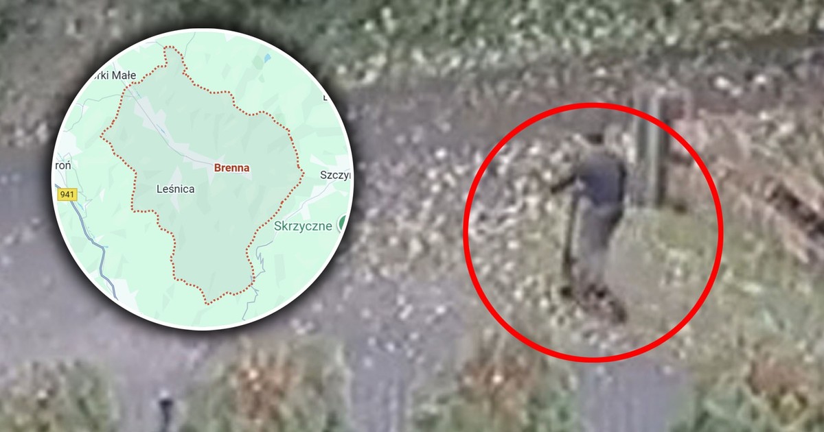 Atak psów na 14-latka w Brennej. Po okolicy rozeszła się szokująca plotka. Policja reaguje