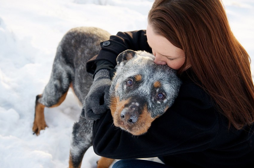 Grejemo ih kada im je hladno, a oni greju naša srca (FOTO: Sarah Ernhart)