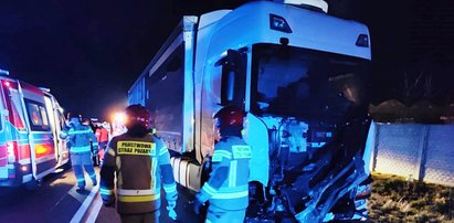 Tragedia pod Kluczborkiem. Nie żyje mężczyzna i jego wierny towarzysz