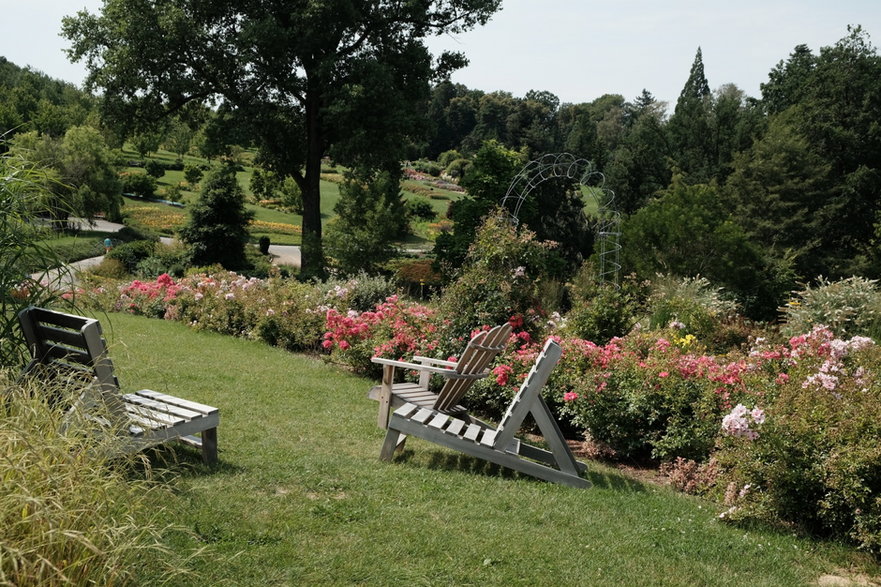 Arboretum w Wojsławicach