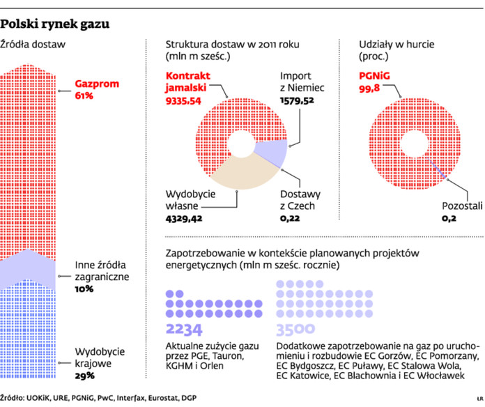 Polski rynek gazu